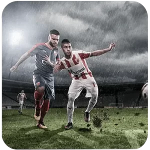 WINLOT multiple sports categories including basketball, tennis, and baseball